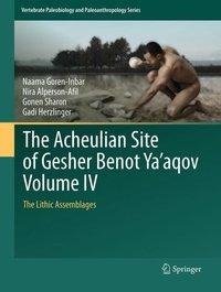 The Acheulian Site of Gesher Benot Ya'aqov Volume IV