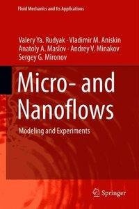 Rudyak, V: Micro- and Nanoflows