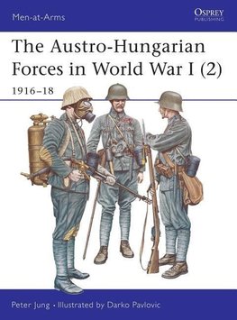 The Austro-Hungarian Forces in World War I (2)