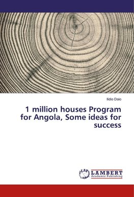 1 million houses Program for Angola, Some ideas for success