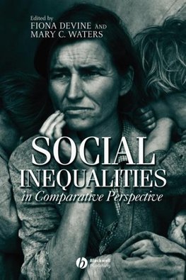 Social Inequalities
