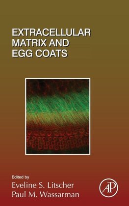 Extracellular Matrix and Egg Coats
