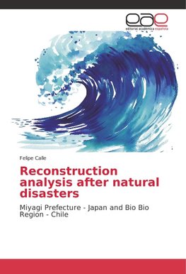 Reconstruction analysis after natural disasters