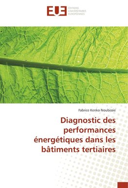 Diagnostic des performances énergétiques dans les bâtiments tertiaires