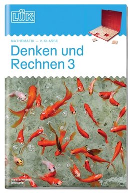 LÜK. Denken und Rechnen 3