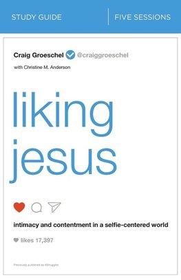 The Liking Jesus Bible Study Guide
