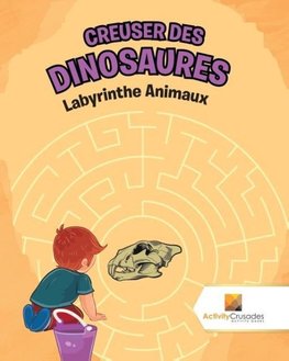 Creuser Des Dinosaures