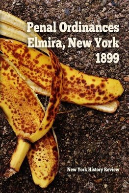 Penal Ordinances of Elmira, New York 1899