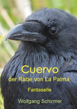 Cuervo - der Rabe von La Palma