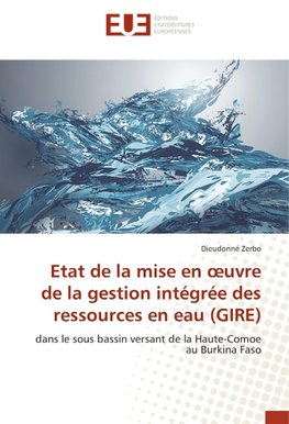 Etat de la mise en ¿uvre de la gestion intégrée des ressources en eau (GIRE)
