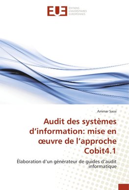 Audit des systèmes d'information: mise en ¿uvre de l'approche Cobit4.1