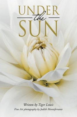 Under the Sun