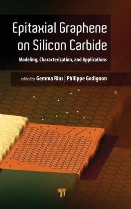 Epitaxial Graphene on Silicon Carbide
