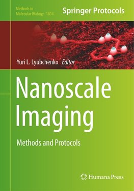 Nanoscale Imaging