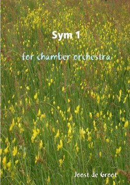 Sym 1 for chamber orchestra