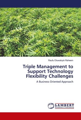 Triple Management to Support Technology Flexibility Challenges