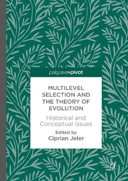 Multilevel Selection and the Theory of Evolution