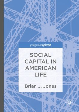 Social Capital in American Life