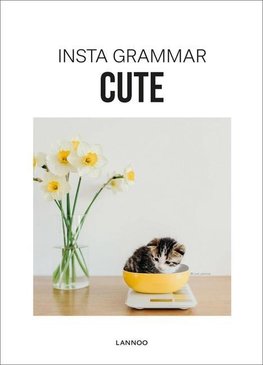 Insta Grammar