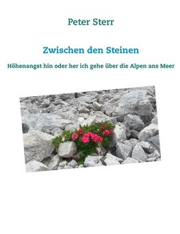 Zwischen den Steinen