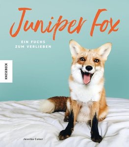 Juniper Fox