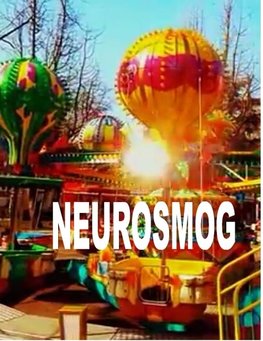 Neurosmog