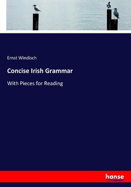 Concise Irish Grammar