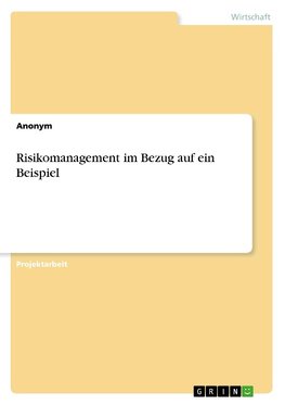Risikomanagement in Bezug auf ein Beispiel
