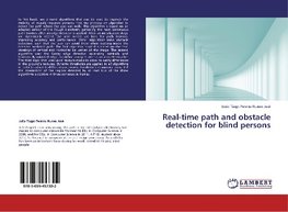 Real-time path and obstacle detection for blind persons