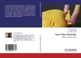 Yam Tuber Maturity