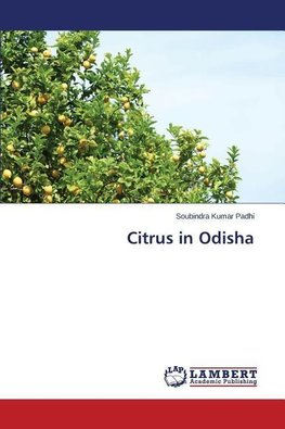 Citrus in Odisha