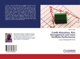 Credit Allocation, Risk Management and Loan Portfolio Performance