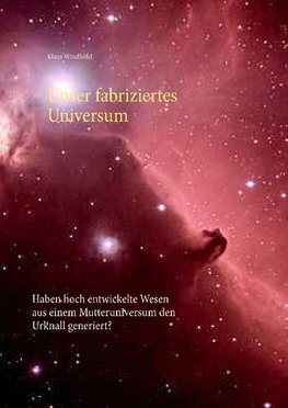 Unser fabriziertes Universum