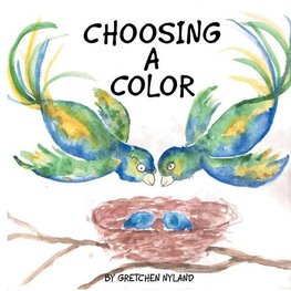 CHOOSING A COLOR