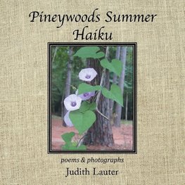Pineywoods Summer Haiku