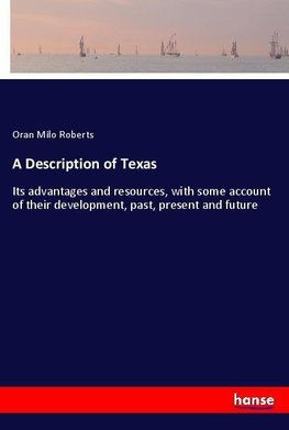 A Description of Texas