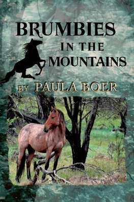 Brumbies in the Mountains