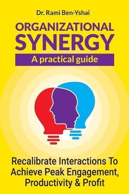Organizational Synergy - A Practical Guide