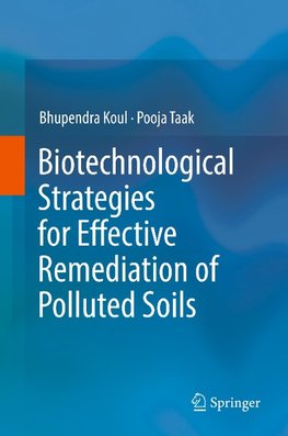 Biotechnological Strategies for Effective Remediation of Polluted Soils