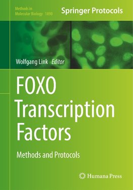 FOXO Transcription Factors