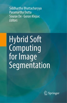 Hybrid Soft Computing for Image Segmentation