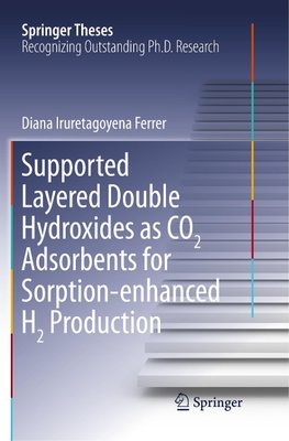 Supported Layered Double Hydroxides as CO2 Adsorbents for Sorption-enhanced H2 Production