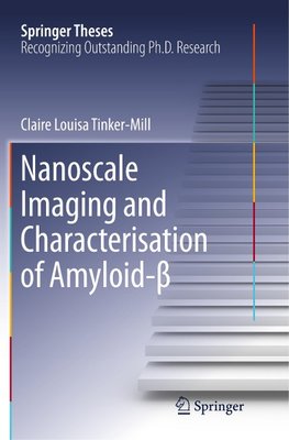Nanoscale Imaging and Characterisation of Amyloid-¿