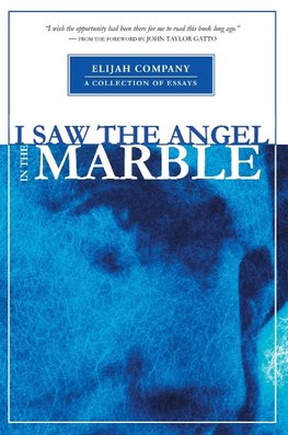 I Saw the Angel in the Marble