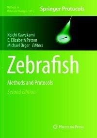 Zebrafish
