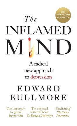 The Inflamed Mind