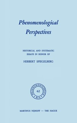 Phenomenological Perspectives