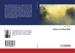 Stain on Silverdish