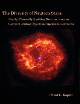 The Diversity of Neutron Stars