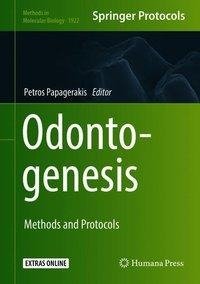 Odontogenesis